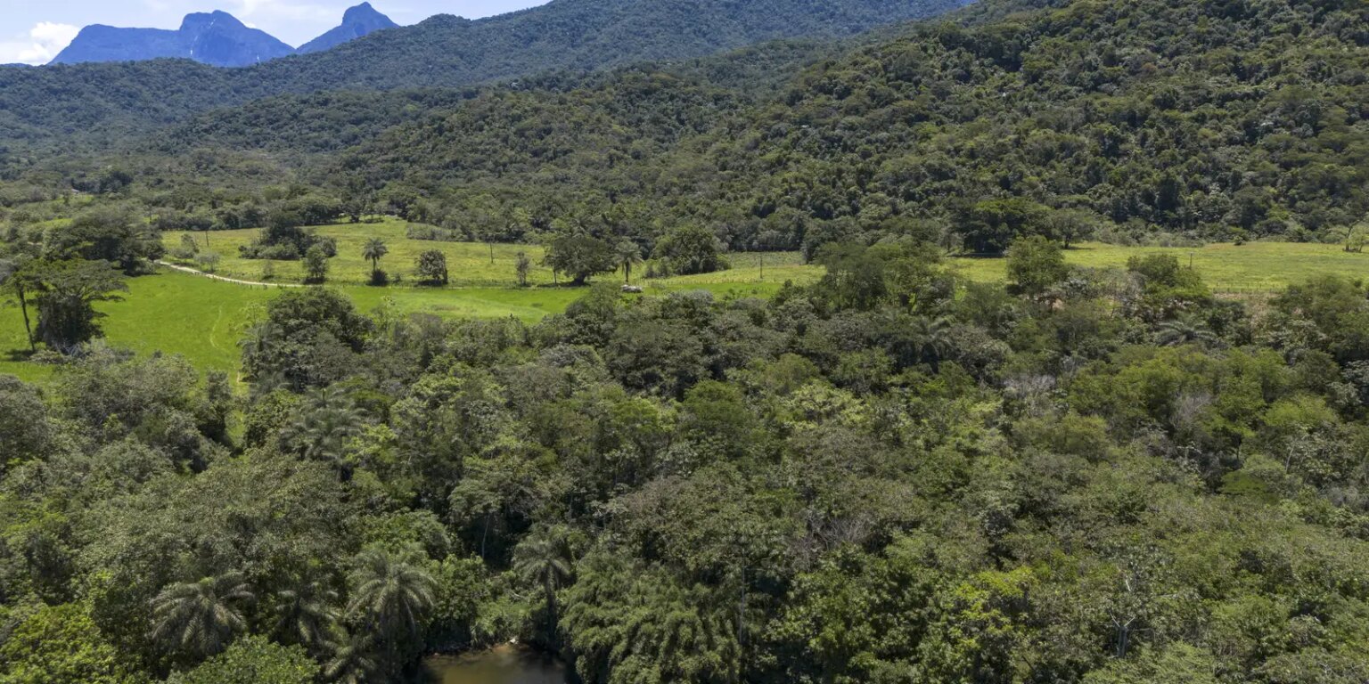 brasil-diminui-em-43%-area-de-vegetacao-nativa-fragmentada
