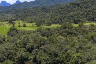 brasil-diminui-em-43%-area-de-vegetacao-nativa-fragmentada
