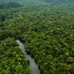 amazonia-e-cerrado-tem-menor-desmatamento-ja-registrado