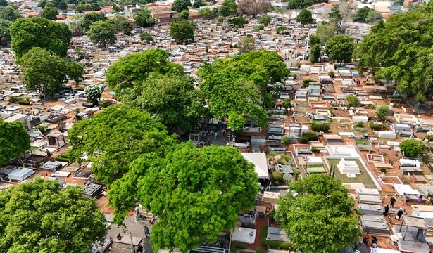 araguaina-prepara-cemiterios-publicos-para-receber-familias-no-dia-de-finados