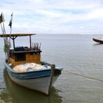 pesca-na-foz-do-rio-doce-volta-a-ser-liberada-depois-de-dez-anos