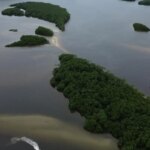 paises-consideram-insuficientes-acoes-contra-crise-da-biodiversidade
