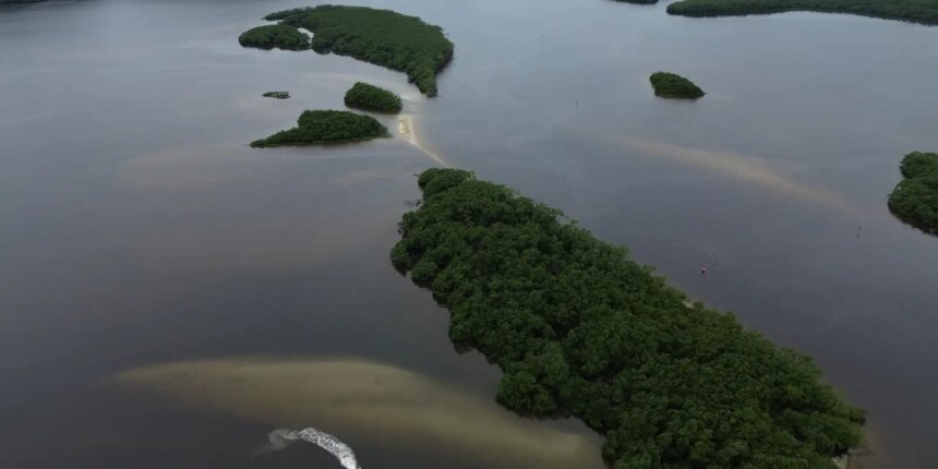 paises-consideram-insuficientes-acoes-contra-crise-da-biodiversidade