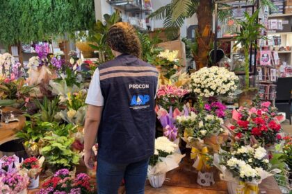 procon-palmas-encontra-variacao-de-ate-350%-nos-precos-de-flores-para-o-dia-de-finados