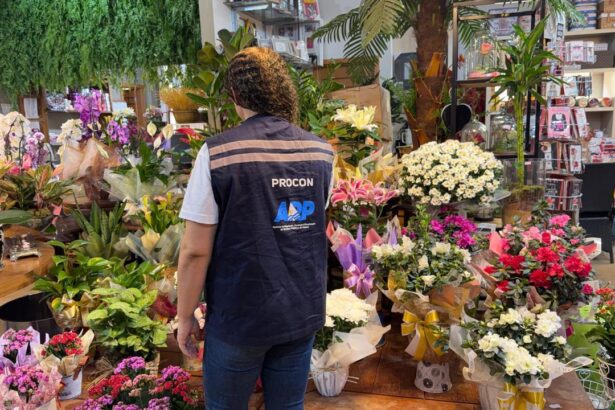 procon-palmas-encontra-variacao-de-ate-350%-nos-precos-de-flores-para-o-dia-de-finados