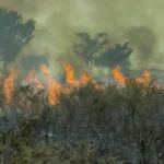 incendio-de-grandes-proporcoes-atinge-area-de-protecao-ambiental-em-santarem,-no-para