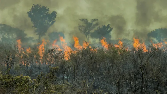 incendio-de-grandes-proporcoes-atinge-area-de-protecao-ambiental-em-santarem,-no-para
